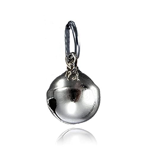 RvPaws Bell Collar Tag Cum Pendant for Dog/Puppy/Kitten/Cat (Silver). (B09PYGMFHQ) Amazon Price History, Amazon Price Tracker