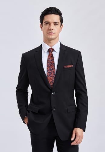 HISDERN Men's Paisley Tie Handkerchief Wedding Party Necktie & Pocket Square Set