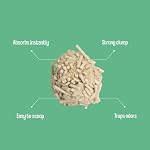 Tofu Spa Litter – 100% Naturel, parfumé à la pomme, griffe Cat Litter – 99% Sans poussière, faible traînée & Éco-Amis – Doucement sur les pattes & Contrôle de l'odeur (5kg)