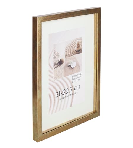 KM Foto 3D Objektrahmen Holz Bilderrahmen Shirt Trikot Rahmen Collage Wanddeko Poster S220: Farbe: Gold-Antik | Format: 40x60