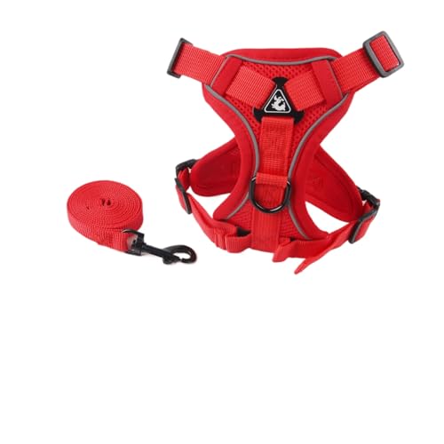 Fiozwea qp[hAxXg^Lpn[lXAˍޕtAʋC LƎqpUp[hƃXgbv (S,E)