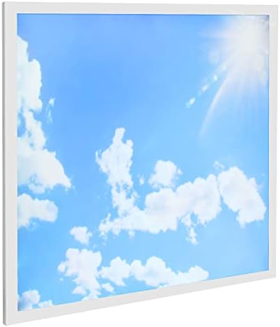 Long Life Lamp Company 40w Blue Sky LED Ceiling Panel 600 x 600 Sun Cloud Scene Recessed Office Light with Transformer SKY02