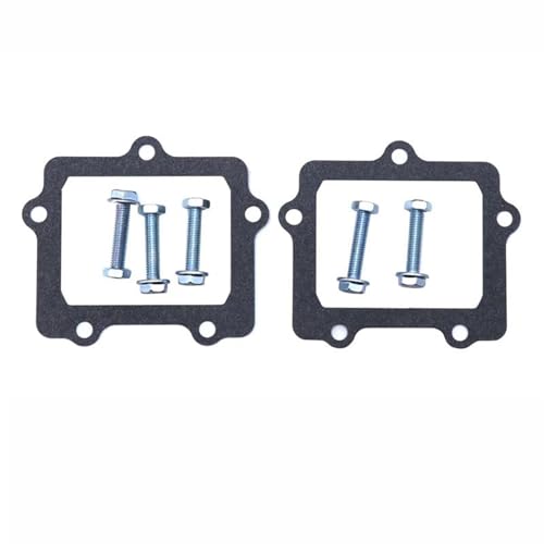 Valve à lames moteur moto Yamaha YZ250X boîte clapets carburation V307A
