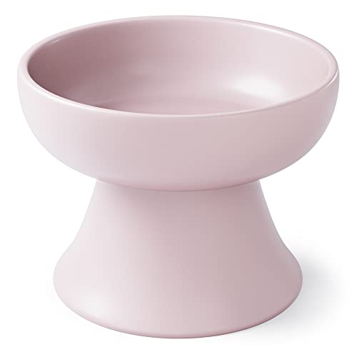 Feast your furry friend with the top 10 best dog foods in Japan A