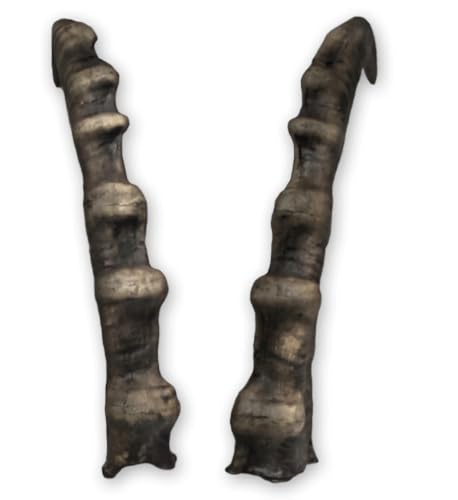 Generisch Steinbock Hörner ca. 47cm - naturgetreue Kunsthörner von Motes Masken, handgefertigt,...