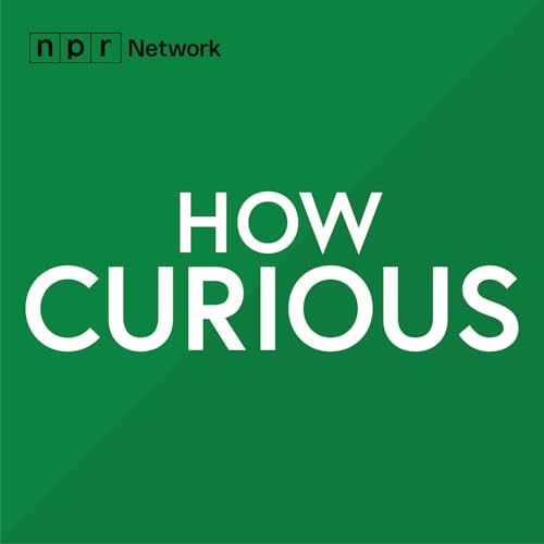 How Curious cover art