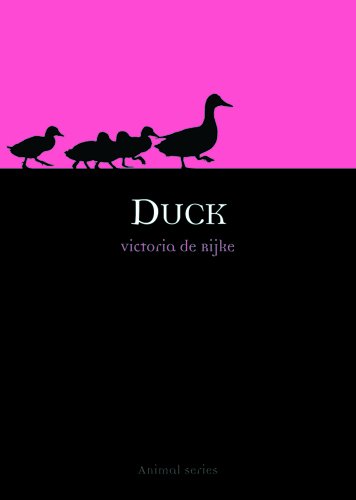 Duck (By: Victoria de Rijke)