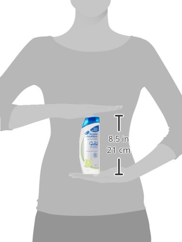 Head and Shoulders Instant Oil Control 2-in-1 Dandruff Shampoo Plus Condition