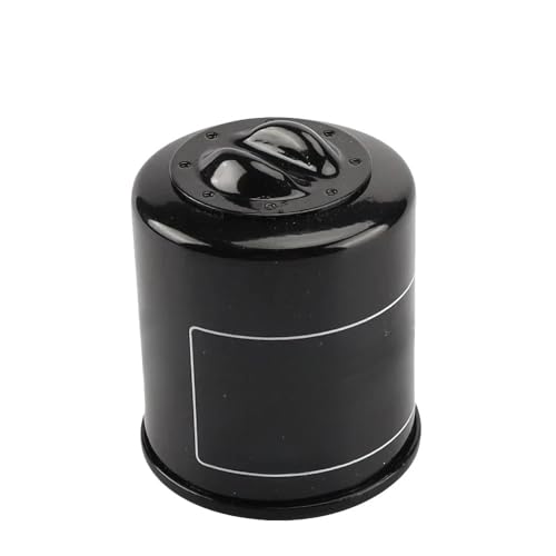 Filtre à huile entretien scooter pour DNA 180 200 Runner 250 Malaguti 125cc
