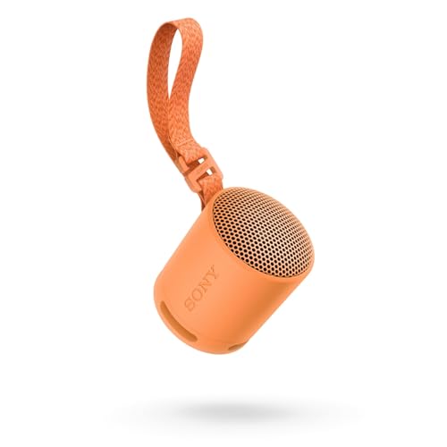 Sony SRS-XB100 - Bluetooth inalámbrico, portátil, ligero, compacto, para exteriores, altavoz de viaje, duradero IP67 impermeable y a prueba de polvo, batería de 16 horas, correa, llamadas manos