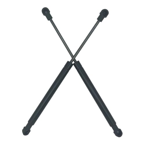 Amortisseurs de coffre arrière Smart Fortwo Coupé 1998-2007 (Vérin de hayon 113000013 x2)