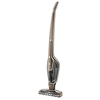 AEG Ergorapido CX7-2-45BM