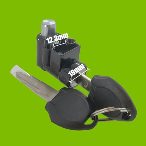 Pumixiy Polly Kompatibles E-Bike-Batterieschloss, 10 mm, elektrisch für Fahrradschloss und Schlüssel für DP-4/DP-5/DP-6/DP-9 Gehäuse, silberfarbene Sicherheitskomponente
