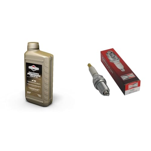 Huile de moteur 4 temps synthétique longue durée Briggs & Stratton 100007S 5W30, 1,0 litre & CHAMPION - Bougie D'Allumage CHAMPION QC12YC - Durable & Fiable - Haute Qualité - Equivalent NGK