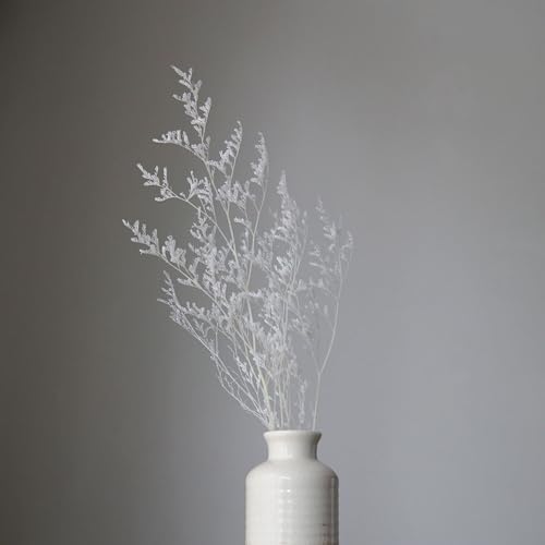Flores preservadas Limonium para decoración natural miniatura 3