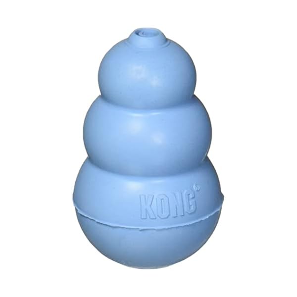 KONG Puppy Small KONG Puppy Small