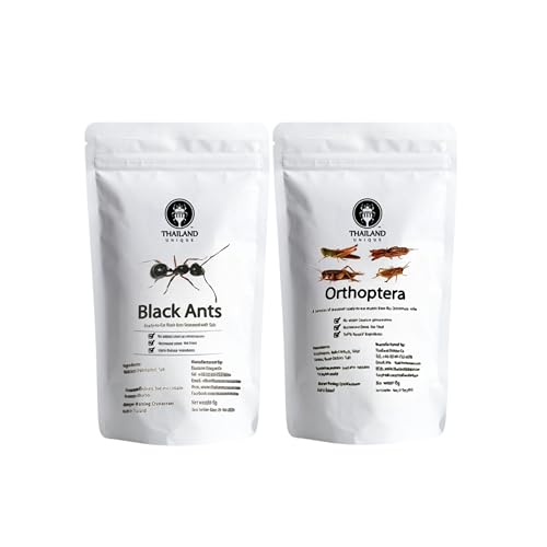 Thailand Unique Black Ants and Mixed Orthoptera Bags 2 Pack Variety
