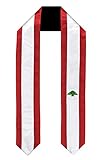 Vision Wear Lebanon Flag Graduation Sash/Stole International Study Abroad Adult Unisex