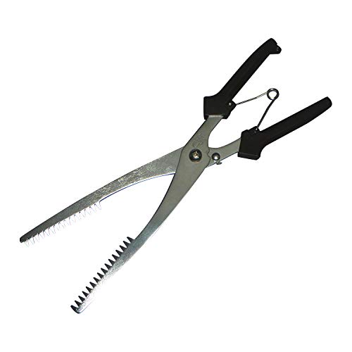 ウナギバサミ、毒魚バサミ、ウバシ うなぎばさみ 魚はさみ、 エガニ