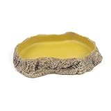 Terratlantis TD Feeder Shape 1 15.5Cm