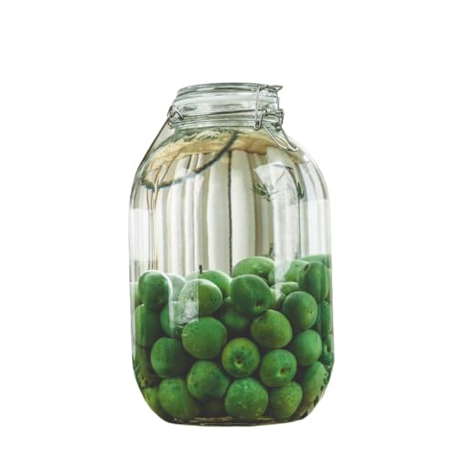Deronder梅酒 瓶 ガラスびん 果実酒びん 2L/3L/4L/5L 大容量食品保存容器 ガラス 密封瓶 密閉容器 キャニスター コーヒー豆 茶葉 砂糖保存容器 果実酒 づくり (5L,丸型)