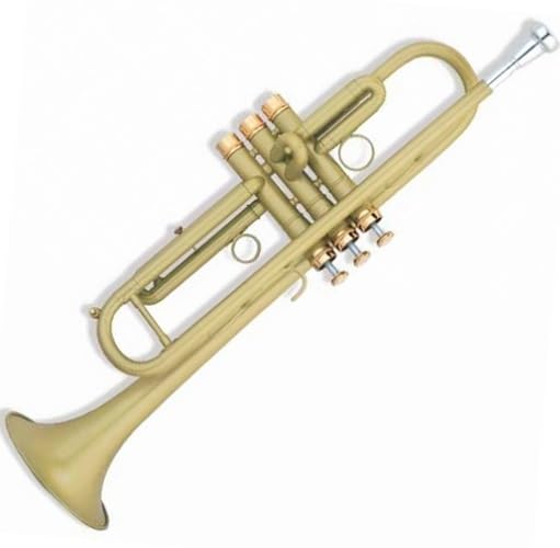 trąbka instrument Trąbka hiszpańska lakierowana w kolorze złotym w tonacji B z mosiężnym instrumentem dętym o płaskich ustach