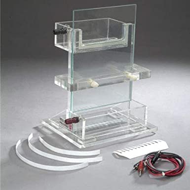 NAUDH ELECTROPHORESIS APPARATUS VERTICAL (B0B131CBMM) Amazon Price History, Amazon Price Tracker