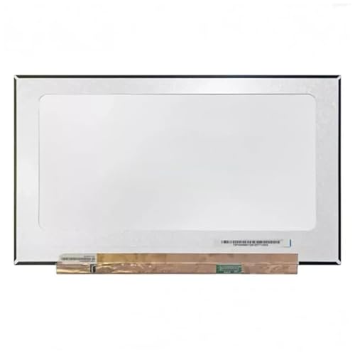 NE173FHM-NZ1 17.3C` m[gp\R LCD fBXvC 240HZ 100% sRGB 1920×1080 }gbNX 40s EDP