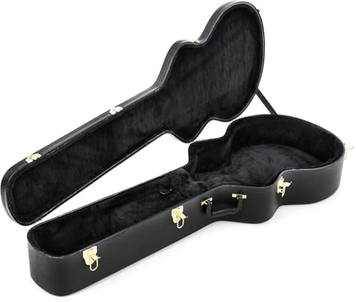 Ibanez AEB50C Acoustic Bass Case