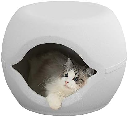 cat bed plastic