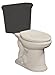 Danze DC013230BC Orrington Elongated Toilet Bowl with Soft Close Seat, Biscuit (Bowl Only)