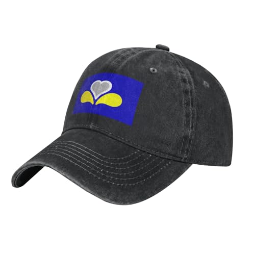 Vintage Flag of The Brussels-Capital Region Baseball Cap for Women Men Hat Trucker Hats, Black, One Size