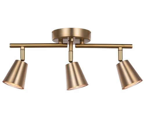 Matte Brass Adjustable Track Lighting KitKitchen