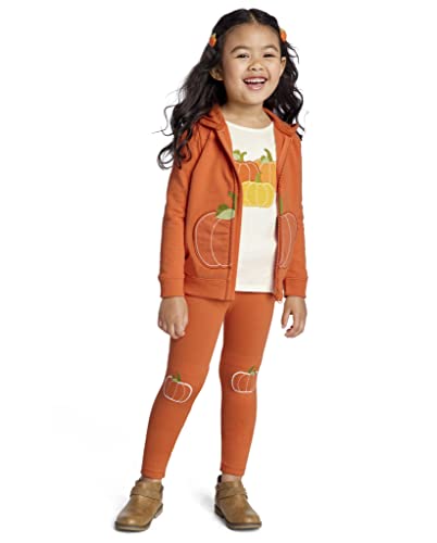Gymboree Girls' Shirt And Pants, Matching Toddler Outfit, Pumpkin Orange, 7 #TOP4