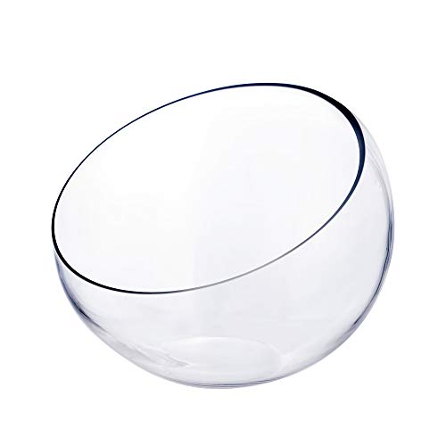 CYS EXCEL Glass Slant Cut Bubble Bowl (H-9' W-11') | Multiple Size Choices Slanted Globe Bowl Terrarium | Round Flower Vase Centerpiece