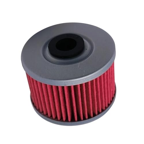 Filtre à huile double capacité 3088036 pour moteur thermique 500cc