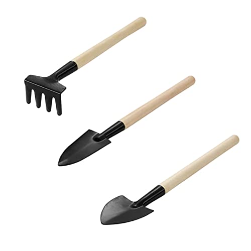 ANZONGYI Kit de jardinage de 3 pièces avec râteau et pelle pour plantes succulentes et plantes grasses