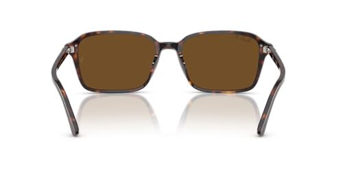 Image of Ray-Ban Sunglasses for Women & Men Raimond RB2231 Non Polarized Sunglasses | Ray-Ban Sunglasses for Men & Women - High-Bridge, Unisex Designer Sunglasses - Crystal Standard or Polarized