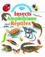 My First Board Book of Insects Amphibians & Reptiles