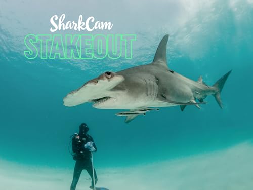 Shark Week - Season 2018