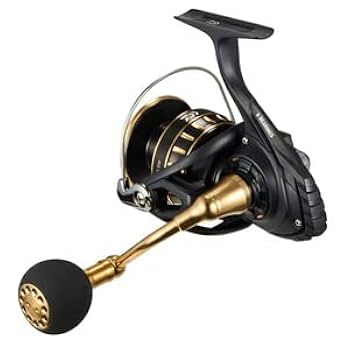 ダイワ　23BG SW 6000D-P Daiwa Spinning Reel 23BG SW 6000D-P : Amazon.ca: Sports