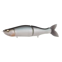 Amazon.co.jp: i-SLIDE 265 R GLX シルバーサーモン : スポーツ