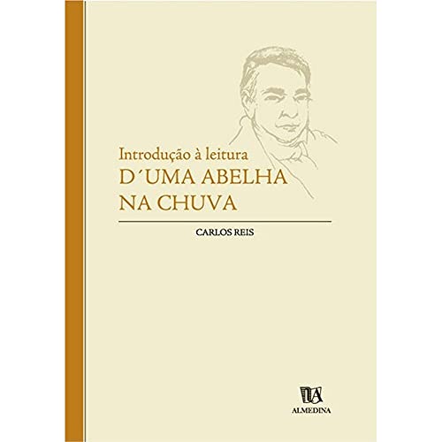 Introdução à leitura d’Uma abelha na chuva: