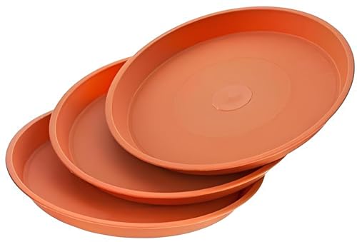 Image of SIGNY Round Bottom Tray(Plate /Saucer) Suitable for 10 Inch Round Plastic Pot - Brown - Set of 6 | Heavy Duty Highly Durable Plant Saucer for Indoor Home Decor & Outdoor Balcony Garden (6, 6.4 Brown)