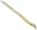 Bone Pen - Spine