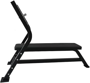 Amazon.co.jp: ファイティングロード プレスベンチPRO300 ベンチプレス