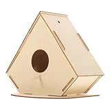 Maison d'oiseaux peinte - maison d'oiseaux en bois pour la peinture de bricolage et l'artisanat de décoration d'écriture, faites un joli pendentif de maison pour vos oiseaux de compagnie, artisanat en bois