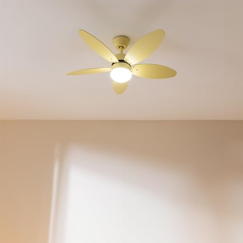 Cecotec - Ventilateur de Plafond avec Lumière EnergySilence Aero 4260 Full SunLight - 40 W, Diamètre 106 cm, Lampe Intégrée, Télécommande, Minuterie, 6 Vitesses, 5 Pales, Mode Été/Hiver