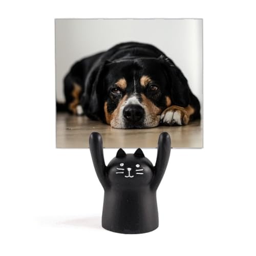 Support photo de sol pour chien noir stable pour smartphone