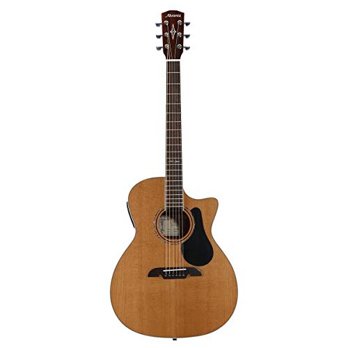 Best Semi Acoustic Guitar Expert Review The Modern Record
